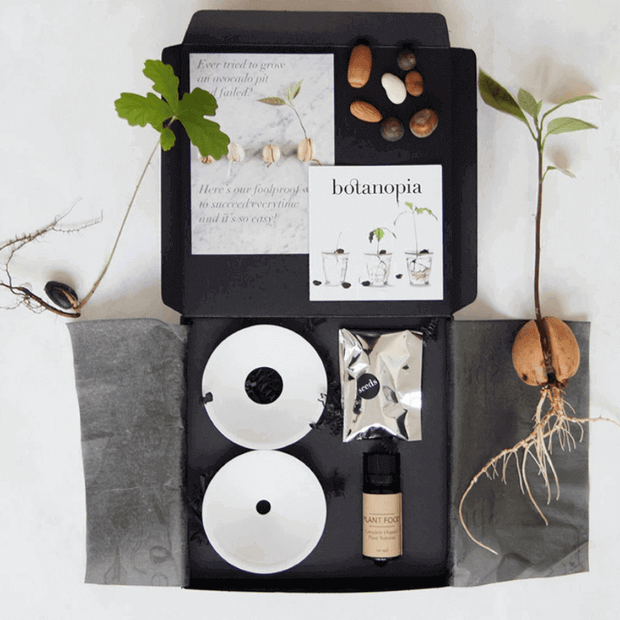 BOTANOPIA - idée cadeau - coffret complet pour cultiver des plantes dans l'eau